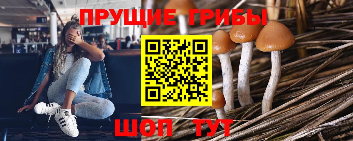 Галлюциногенные грибы Psilocybine cubensis  Псилоцибиновые грибы Cubensis  купить   Кольчугино  Вход с VPN 