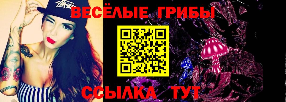 Галлюциногенные грибы мухоморы Кольчугино